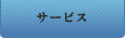 プロサーバーサービス