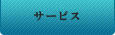 プロサーバーサービス